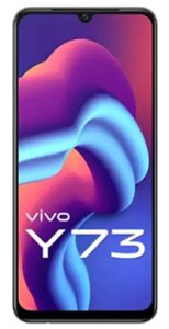 Vivo Y73 Price In Pakistan